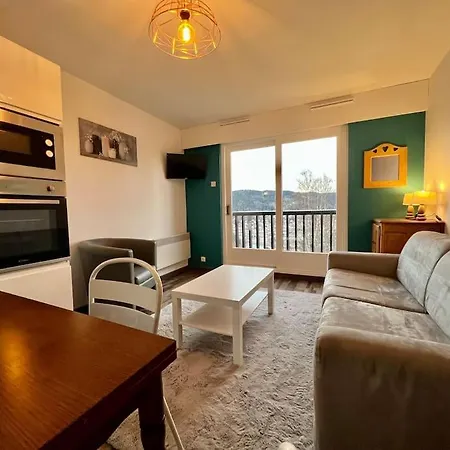 L'appart Dryades, 3* Superbe Vue Ville/pistes Hotel Gérardmer