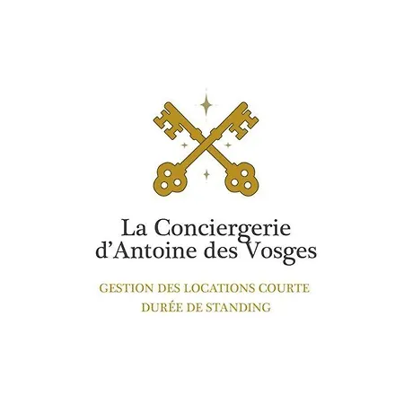 Apartment L'appart Dryades, 3* Superbe Vue Ville/pistes Gérardmer
